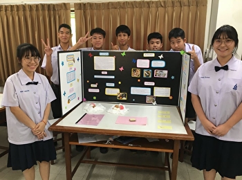 Presentation of science project