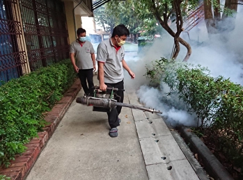 Spraying mosquito and insect repellent
Within the school grounds December