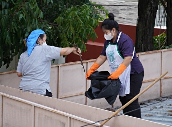 Building Department of the Demonstration
School of Suan Sunandha Rajabhat
University by staff workers Carry out
cleaning and removal of leaves, twigs,
and branches within the school grounds.