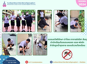 The Sawatdi Raksa Club, led by Teacher
Arisa Sindhu, led students in the club
to drop L-Fort to eliminate Aedes
mosquito larvae. Around the school area