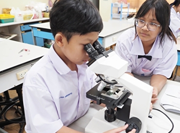 Science Laboratory Experiment: Using a
Light Microscope to Observe Plant and
Animal Cells